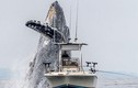 Video: Khoảnh khắc cá voi khổng lồ nhảy khỏi mặt nước, suýt va phải tàu cá