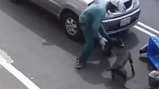 Video: Chó pitbull bị xích trên xe tải, vẫn lao tới cắn xé người đi đường