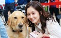 Video: Bận rộn với công việc, người Hàn Quốc cho thú cưng đi học mẫu giáo
