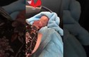 Video: Em bé vừa ra đời đã nắm chặt tay người lớn