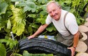 Video: Thăm vườn rau 'siêu khủng' dành cho người khổng lồ