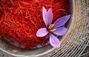 Video: Vì sao saffron là gia vị đắt nhất thế giới, hơn 10.000 USD/kg?