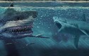 Video: Loài cá mập còn đáng sợ hơn cả Megalodon