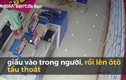Video: Người đàn ông đi ô tô thản nhiên vào cửa hàng trộm laptop