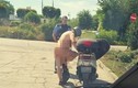 Người đàn ông thản niên nude khi lái xe giữa trời nắng nóng
