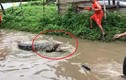 Video: Nước lũ tràn bờ, cá sấu lẻn vào khu dân cư 'trộm' chó ở Ấn Độ