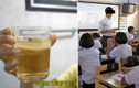 Video: Thầy giáo pha nước tiểu ép học sinh uống chữa bệnh