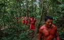 Video: Thổ dân Waiapi và cuộc chiến sinh tồn để giữ rừng Amazon