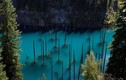 Video: Khám phá thế giới siêu thực ở hồ cây mọc ngược lạ kỳ