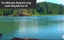 Video: Gấu con đuối nước, hoảng loạn gọi mẹ
