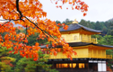 Video: Khám phá mùa thu đẹp hút hồn du khách ở Nhật Bản