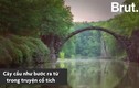 Video: Cầu Quỷ - tuyệt tác bước ra từ cổ tích