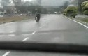 Video: Áo mưa quấn vào bánh xe quật cô gái ngã ngay trước đầu ô tô