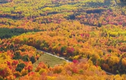 Video: Cùng ngắm vẻ đẹp mùa thu trên khắp nước Mỹ
