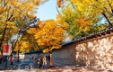 Video: Mùa lá chuyển màu đẹp tựa tiên cảnh ở vùng núi Hàn Quốc