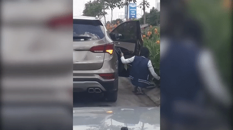 Video: Người phụ nữ đi ô tô nhổ trộm hoa nơi công cộng gây bức xúc