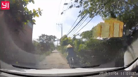 Video: Đi xe đạp vướng cây ngã ra đường, cụ bà suýt bị ô tô cán qua người