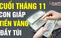 Video: Cướp hết lộc thiên hạ, 3 con giáp thăng hoa, tài vận rực rỡ cuối tháng 11