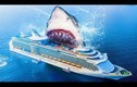 Video: Nếu còn sống, Megalodon có thật sự nguy hiểm với con người?