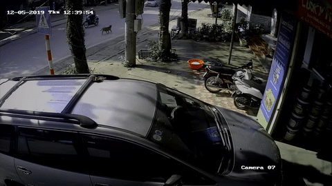 Video: Tránh chó thả rông chạy qua đường, tài xế xe máy bị ô tô tông trực diện