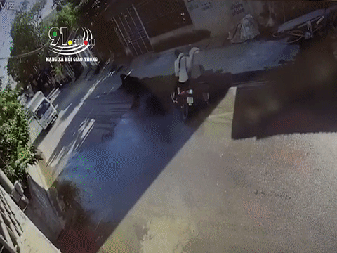 Video: Bị xe tải cán qua người, một học sinh nguy kịch