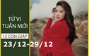 Video: Tử vi tuần mới từ 23/12 đến 29/12 năm 2019 của 12 con giáp