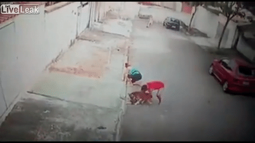 Video: Khoảnh khắc thanh niên dũng cảm cứu bé trai khỏi chó dữ