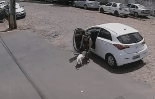 Video: Người phụ nữ bỏ rơi chó cưng bị cụt ngoài đường chân gây phẫn nộ