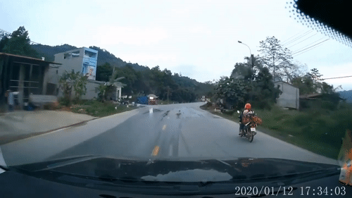 Video: Chó thả rông chạy đột ngột sang đường suýt gây tai nạn cho xe máy