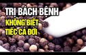 Video: Vị thuốc dân dã trị bách bệnh, không biết phí cả đời