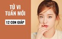 Video: Tử vi tuần mới từ 24/2 đến 1/3 năm 2020 của 12 con giáp