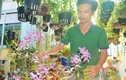 Chàng trai trồng 2.000 giò lan, có 20 loài lan giả hạc quý hiếm