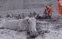 Video: Giải cứu 18 con ngựa mắc kẹt trong vũng bùn