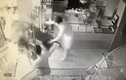 Video: Trâu "điên" húc người rồi lao vào phá tiệm vàng ở Thái Nguyên