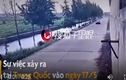 Video: Xe sang húc đổ cây rồi lao thẳng xuống sông