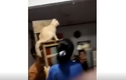 Video: Boss mèo bắt 3 "con sen" phục vụ để bắt thạch sùng