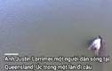 Video: Thót tim khi cá sấu kéo cả con bò xuống sông "làm thịt"
