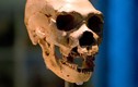 Tìm thấy bằng chứng về 'quần thể ma' của người cổ đại 