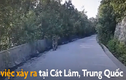 Video: Hổ nằm giữa đường khiến tài xế taxi không dám di chuyển