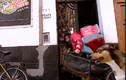Video: Chàng trai đi giao hàng cùng chú chó cưng ở Argentina