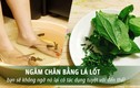 Lá lốt ngâm chân đau nhức đến mấy chỉ cần bôi vài lần là đỡ