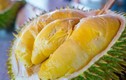 Dân Việt vẫn ăn đều loại sầu riêng đắt nhất thế giới