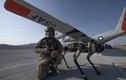 Không quân Mỹ có chó máy gác sân bay
