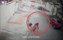 Video: Bé trai bị chó pitbull lao vào cắn xé