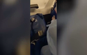 Video: Bắt giữ hành khách đi máy bay giấu 3kg vàng trong quần