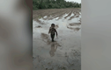 Video : Cậu bé một mình chơi đùa với con rắn giữa ruộng