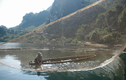 Bắt thủy quái Sông Đà nặng hơn 50 kg