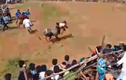 Video: Bò tót nổi điên, húc trúng người đàn ông trong lễ hội