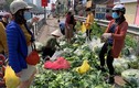 Dân Hà Nội chung tay giải cứu rau xanh cho nông dân Hải Dương