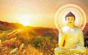 7 bài học Đức Phật răn dạy để có thể sống thọ và tích phúc